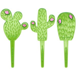 Cactus Assortment Picks