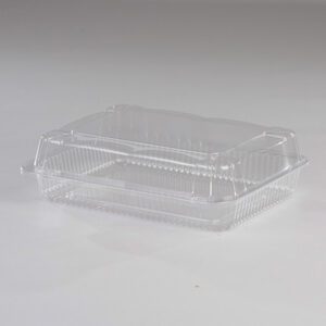 10" x 8" x 3" Plastic Rectangle Hinged Lid Container